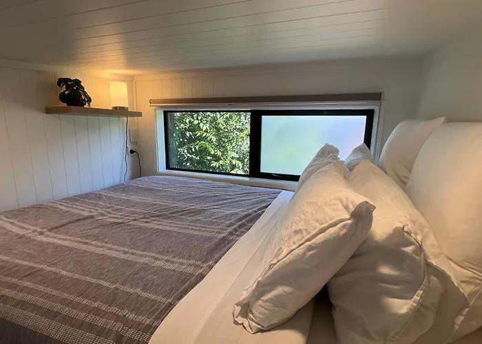 Stylish Tiny House With Mountain Views & Private Courtyard 公寓 瓦纳卡